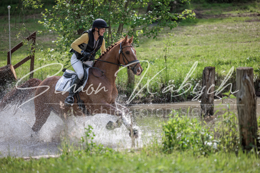 20260523-_3LI9386 | Tierfotografie Pferde, Hunde, Katzen, Haustiere.
Turnierfotografie Reitturniere, Reiten, Springreiten, Dressur in Hanau, dem Main-Kinzig-Kreis und dem Rhein-Main- Gebiet um Frankfurt