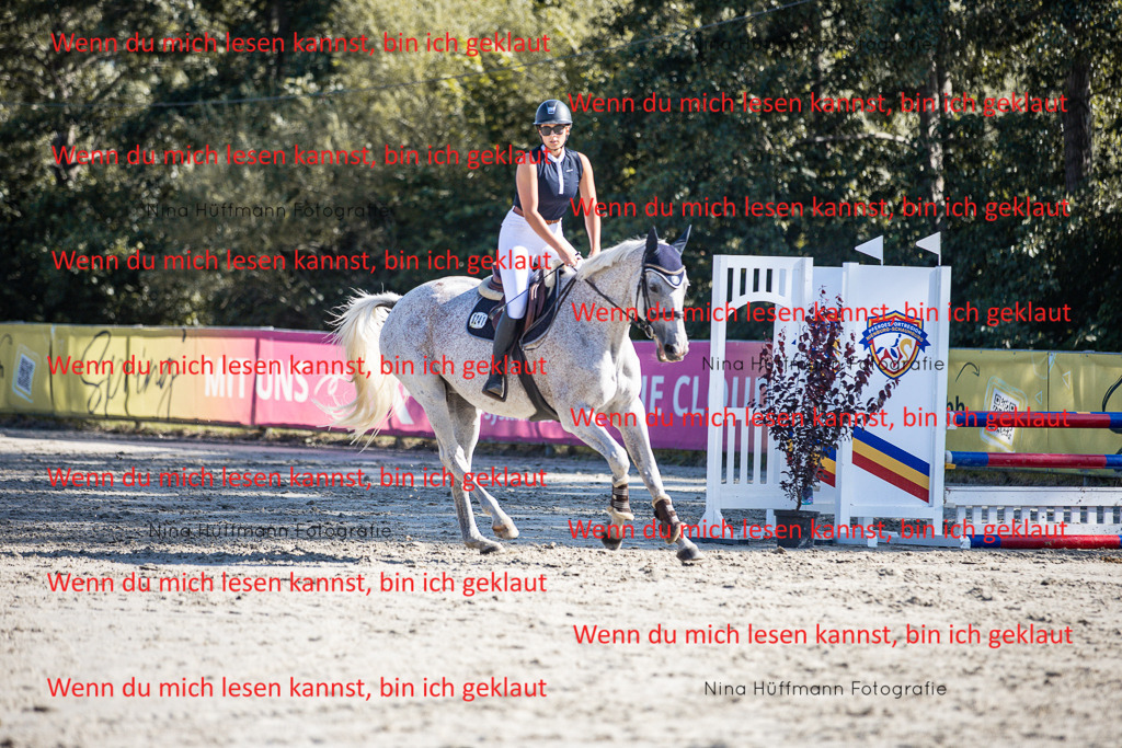 BK1A7313 | Turnierbilder Turnierfotos Nina Hüffmann Turnierfotografie Pferdefotografie Tierzeichnung Haustierzeichnung Pferdezeichnung Hundezeichnung Videograf  - Realisiert mit Pictrs.com