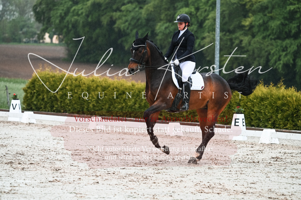 DSC_4546 | Pferde- und Turnierfotografie in Westsachsen. Pferdeportraits, Auftragszeichnungen und intuitive Kunst.