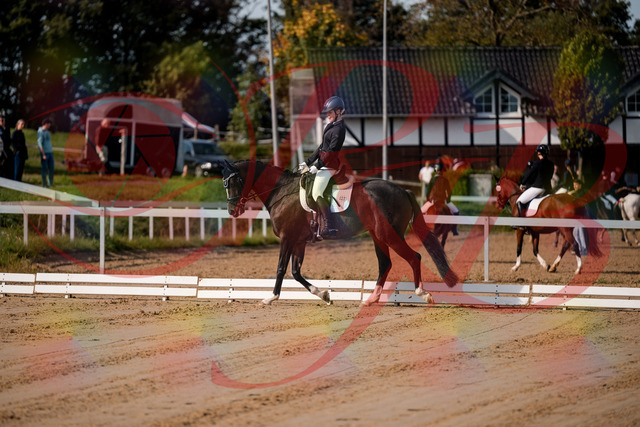 2026_10_03_Siefer-Hof_113328_Z63_19744230 | Professionelle Reitsport-, Turnier- und Eventfotografie von Robert Broda. Galerien mit ausgewählten und bearbeiteten Bildern direkt online ansehen und bestellen.
