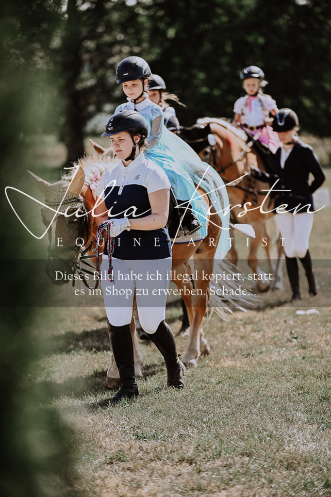 DSC_8984 | Pferde- und Turnierfotografie in Westsachsen. Pferdeportraits, Auftragszeichnungen und intuitive Kunst.