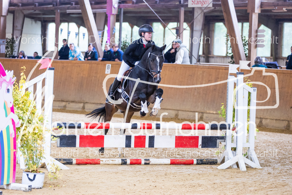 Sth-E-Springen-019 | MomenTaufnahmen Pferdesportfotos