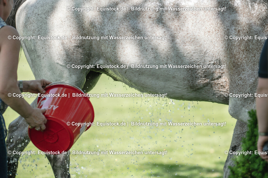 20230527_27_CCI4_Gelände_0065 | equistock