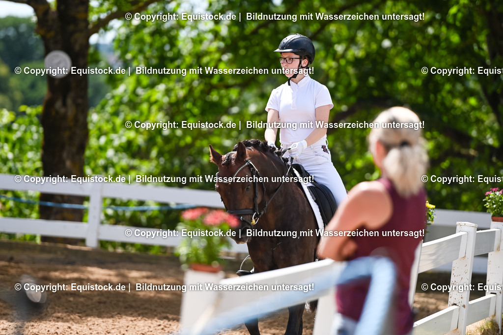 20230715_09_Dressur-WB_0232 | equistock