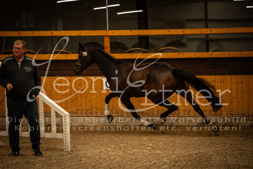 1FS_L00008 | Leoni Ertmer Photography - Realisiert mit Pictrs.com