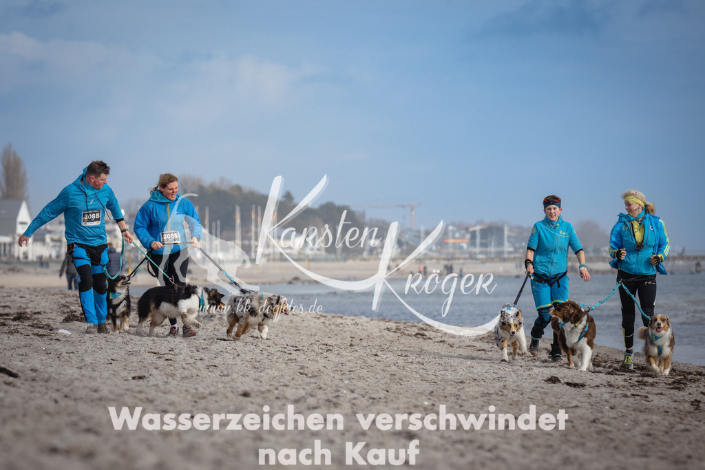 1236_ZZ97459 | kk-dogfotos
