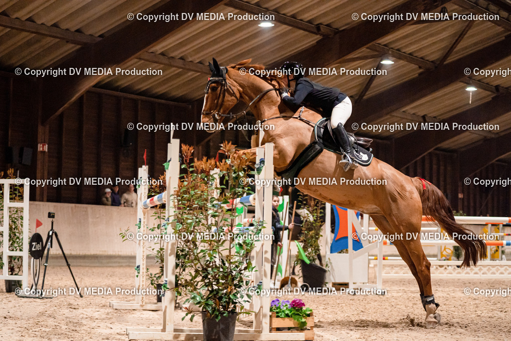 Springen Tag 2-893 | dv-media-shop - Realisiert mit Pictrs.com