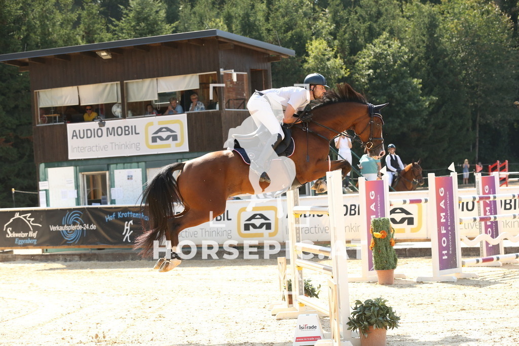 DL2Q6866 | Willkommen bei Brunnmayr - Design & Fotografie – Ihrem Spezialisten für Reitturniere und Pferdeveranstaltungen in Oberösterreich, Salzburg und Bayern! Seit über 17 Jahren sind wir leidenschaftlich dabei.