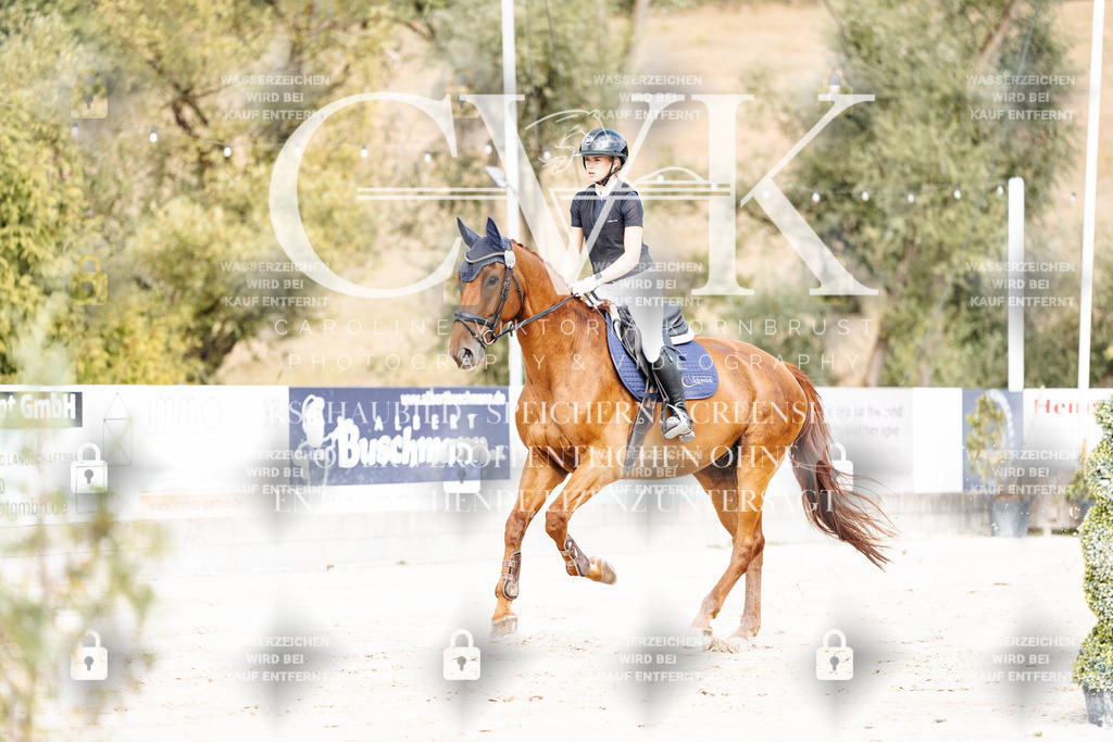 CK908979 | Turnierfotografie Pferdefotografie Trier Rheinland-Pfalz Pferdesport Reitsport Tierfotografie Sportfotografie Pferdevideo Pferdevideografie Equestrianvideography equestrianphotography  - Realisiert mit Pictrs.com