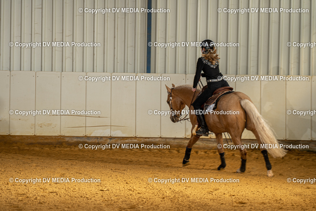 MIT00828 | dv-media-shop - Realisiert mit Pictrs.com