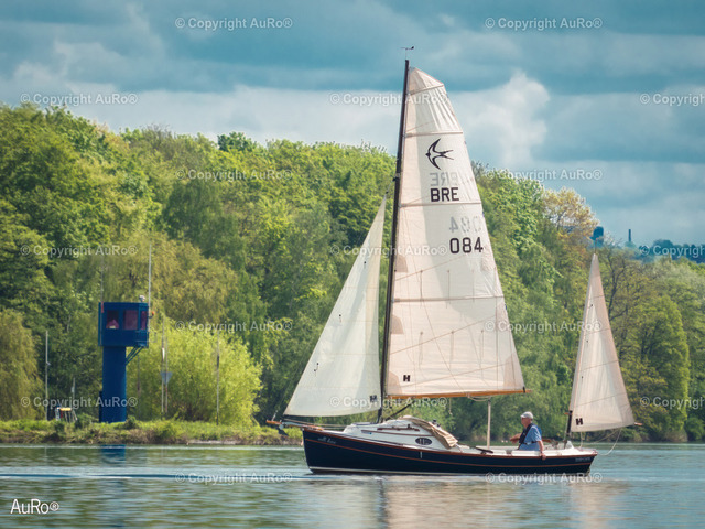P1764600-Bearbeitet-DeNoiseAI-raw | AuRo® Services - Realisiert mit Pictrs.com