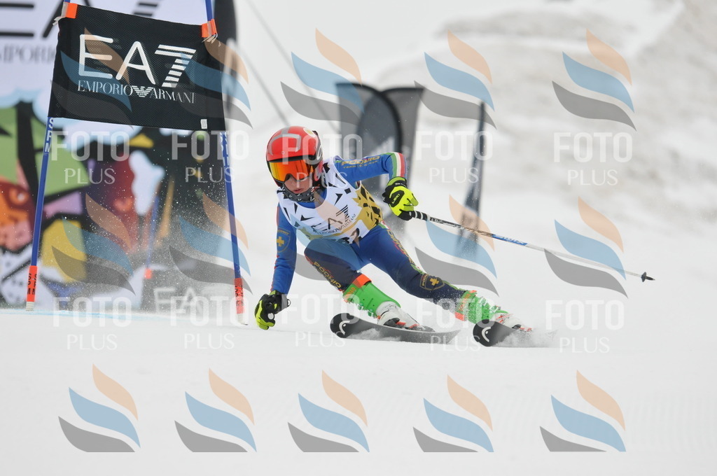 DSC_8671 | holidayphoto