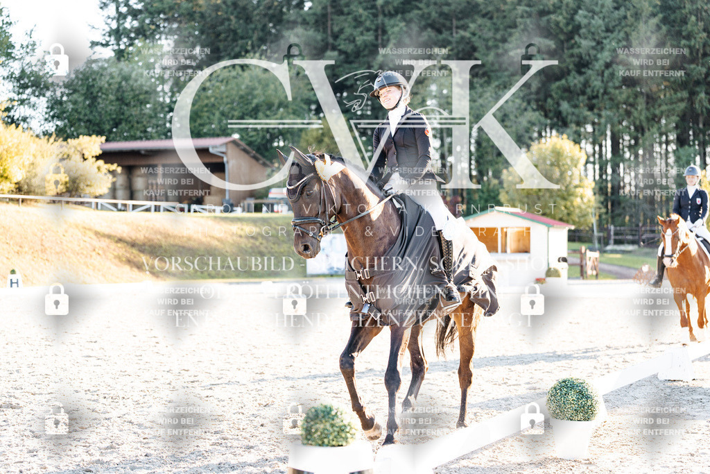 CK907269 | Turnierfotografie Pferdefotografie Trier Rheinland-Pfalz Pferdesport Reitsport Tierfotografie Sportfotografie Pferdevideo Pferdevideografie Equestrianvideography equestrianphotography  - Realisiert mit Pictrs.com