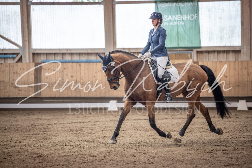 20251011-_3LI9896 | Tierfotografie Pferde, Hunde, Katzen, Haustiere.
Turnierfotografie Reitturniere, Reiten, Springreiten, Dressur in Hanau, dem Main-Kinzig-Kreis und dem Rhein-Main- Gebiet um Frankfurt