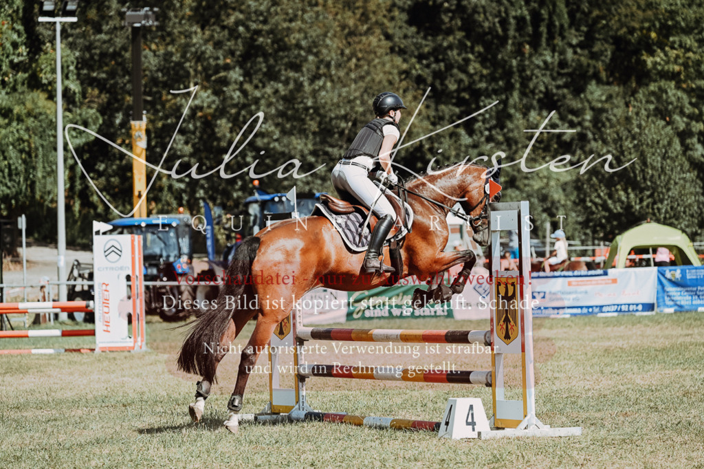DSC_9682 | Pferde- und Turnierfotografie in Westsachsen. Pferdeportraits, Auftragszeichnungen und intuitive Kunst.