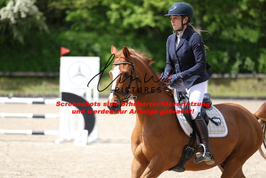 A40A1645 | lmwpictures - Realisiert mit Pictrs.com