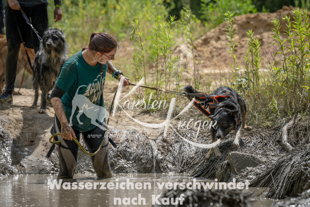 1436_ZZ93139 | kk-dogfotos