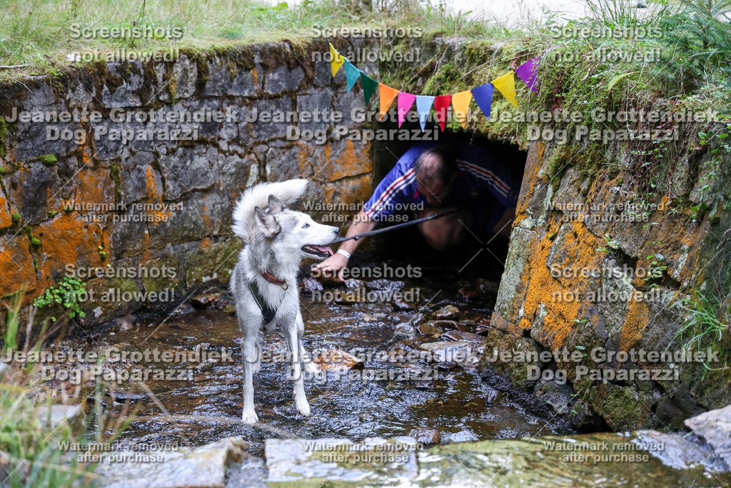 Dog Paparazzi -  TH 26-586 | Dog Paparazzi Jeanette Grottendiek Fotografie & Videografie - Realisiert mit Pictrs.com
