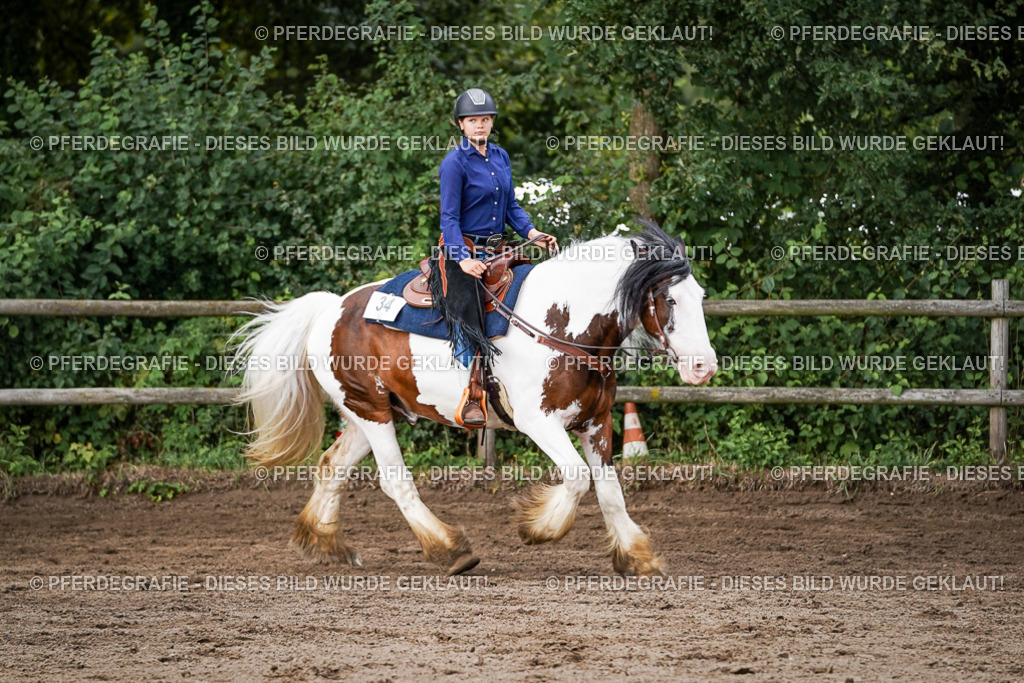 DSC08885 | Pferdegrafie