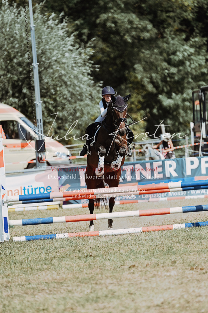 DSC_9788 | Pferde- und Turnierfotografie in Westsachsen. Pferdeportraits, Auftragszeichnungen und intuitive Kunst.