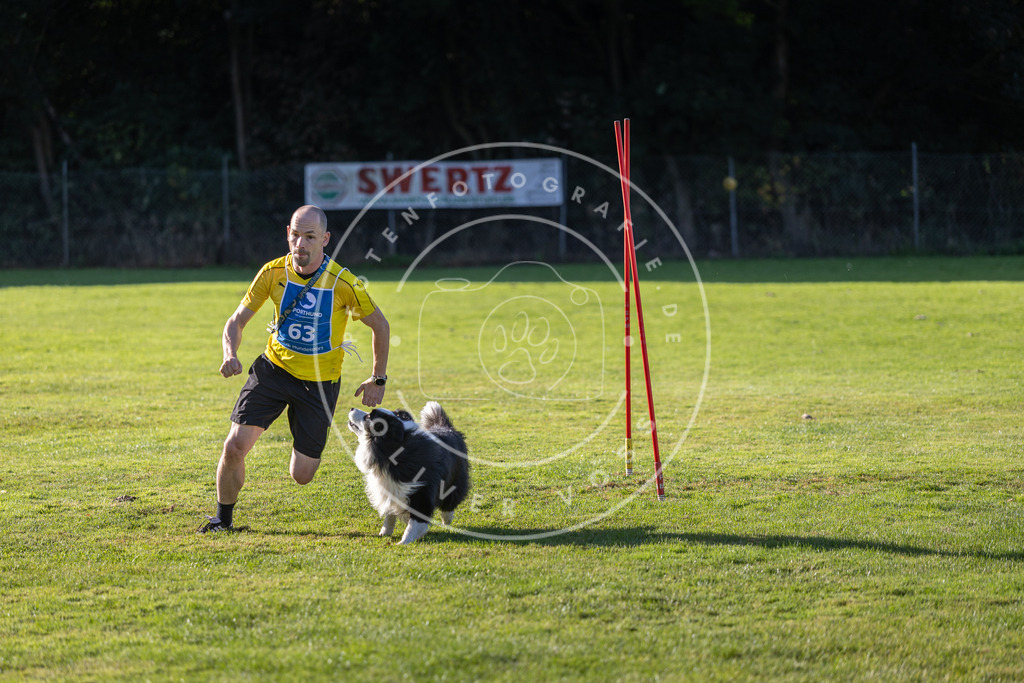 Pfotenfotografie.de_DV3A3477 | Hundefotografie, Tierfotograf, Pfotenfotografie, Fotoshooting Hund, Hunde Portrait, Hundesport, Hundeportraits, Heideshooting, Hunde, Sportfotograf, Hundefotograf, Turnierhundsport, THS, canicross - Realisiert mit Pictrs.com