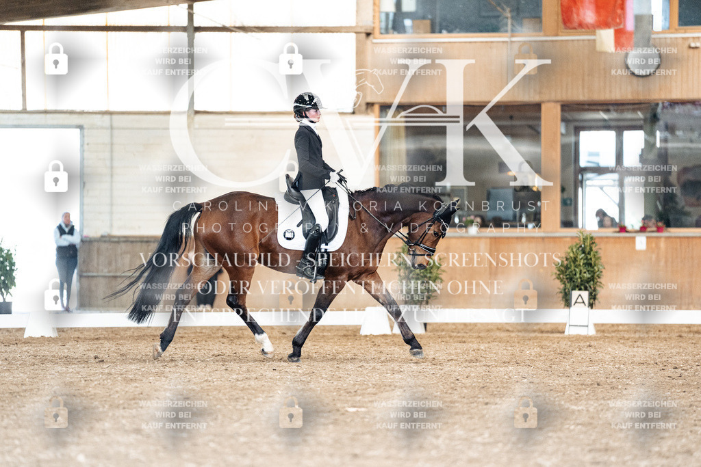 CK901527 | Turnierfotografie Pferdefotografie Trier Rheinland-Pfalz Pferdesport Reitsport Tierfotografie Sportfotografie Pferdevideo Pferdevideografie Equestrianvideography equestrianphotography  - Realisiert mit Pictrs.com