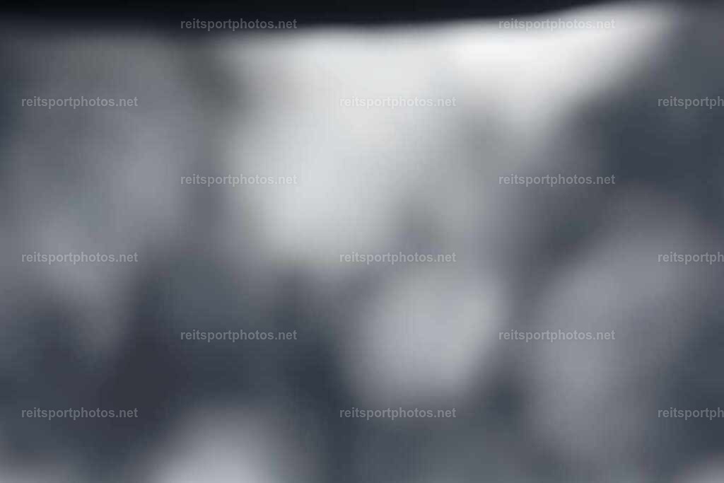 JoYaR3_Heidehof_01511 | JoYa Fotografie - Realisiert mit Pictrs.com