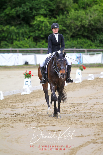 DKP47734 | Turniersportfotografie; Pferdefotografie; Dressurfotografie