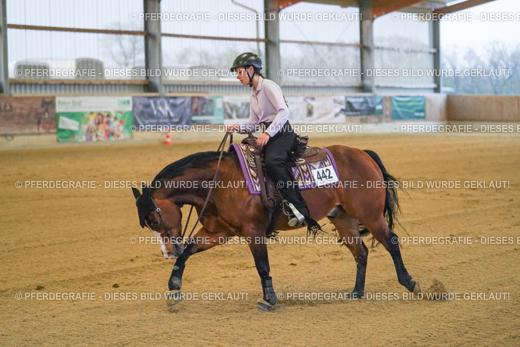 DSC09407 | Pferdegrafie