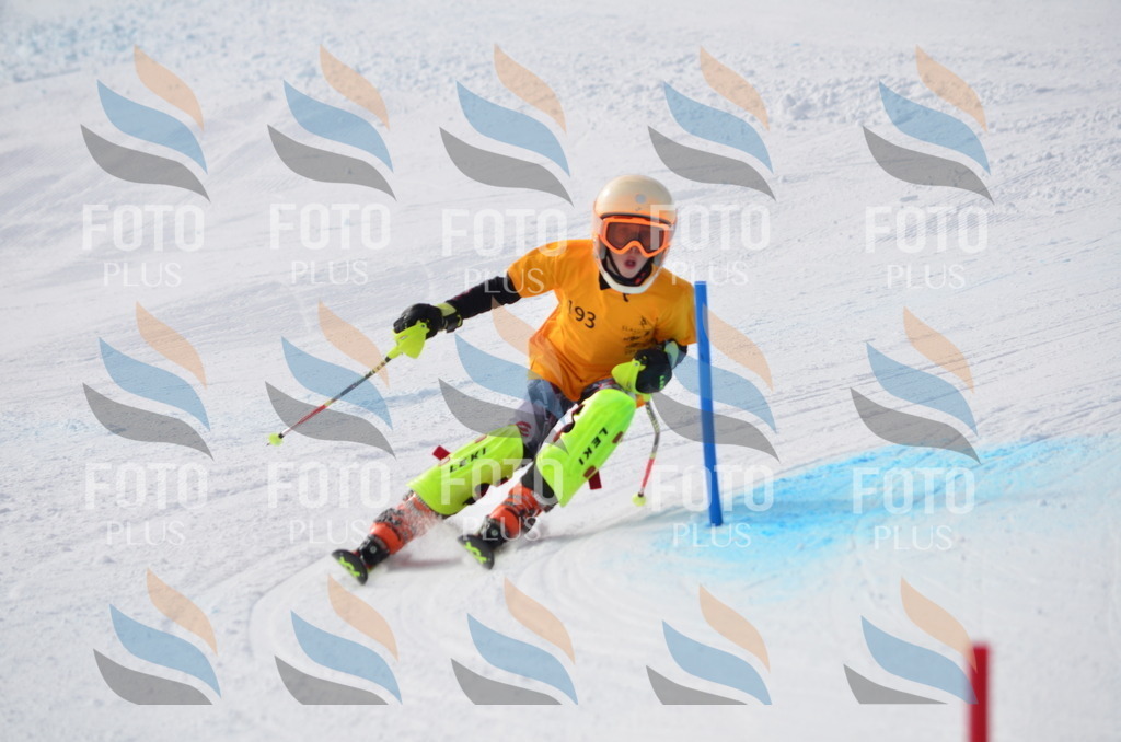 C8075 | holidayphoto