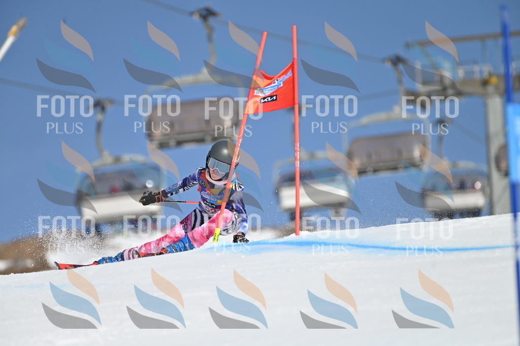 BGV_8559 | holidayphoto