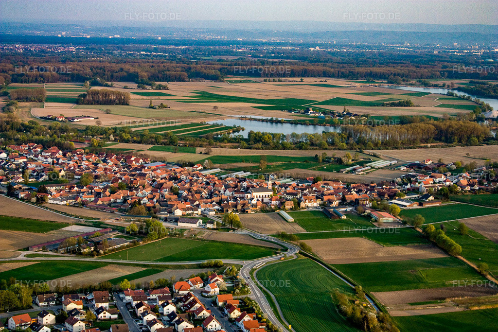 Luftbild: Ortsansicht von Norden in Neupotz im Bundesland Rheinland-Pfalz in Deutschland. Foto: IMG_17605.jpg vom 10.04.2009 durch Werner Riehm/FLY-FOTO.de