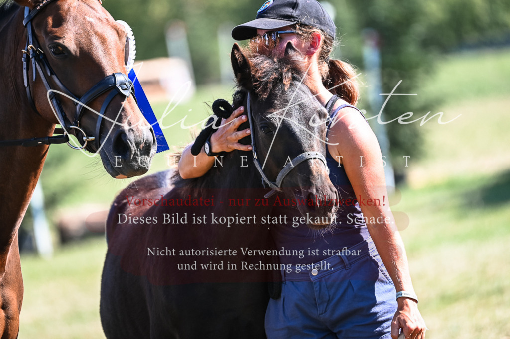 DSC_7021 | Pferde- und Turnierfotografie in Westsachsen. Pferdeportraits, Auftragszeichnungen und intuitive Kunst.