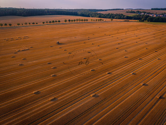 2026-07-30_19-32-45_000 | Weites Feld mit Strohballen, im Hintergrund eine Baumreihe und sanftes Licht, Zeulenroda, Thüringen, Deutschland - Realisiert mit Pictrs.com