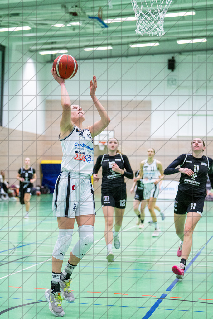 2. DBBL Nord 24/25 | 08.12.2024 | BBC OS vs. TG Neuss Tigers | 2. DBBL Nord 24/25 | 08.12.2024 | BBC OS vs. TG Neuss Tigers - - - - - CREDIT, www.bullenfotos.de, Martin König, Hörner Weg 40, D-49078 Osnabrück, +4917663732967, Nutzung und Weitergabe nur zu den vereinbarten Zwecken. Presseanfragen an Urheber. Alle Rechte beim Urheber. - - - - - - Realisiert mit Pictrs.com