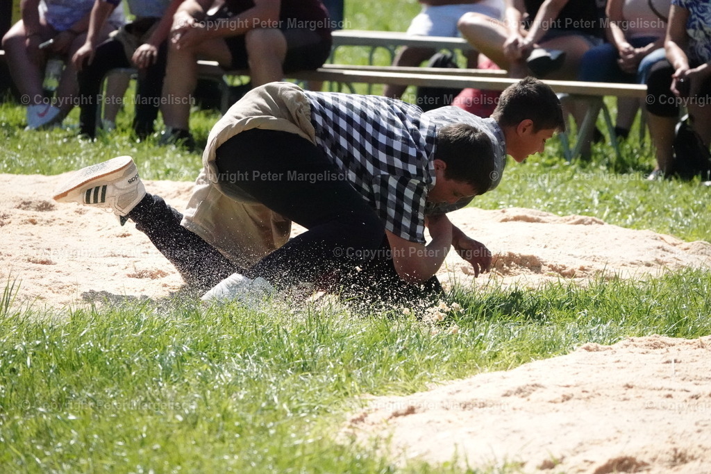 DSC04707 | Schwingen - Realisiert mit Pictrs.com