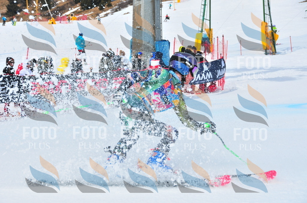 DSC_6417 | holidayphoto