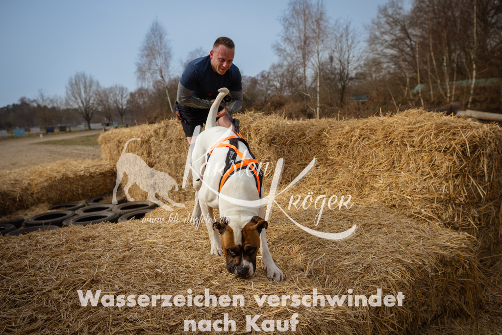1112_ZZ92273 | kk-dogfotos