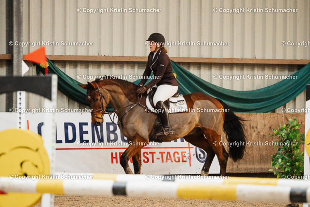 Springpferde A_-28 | Kristin Schumacher Photography