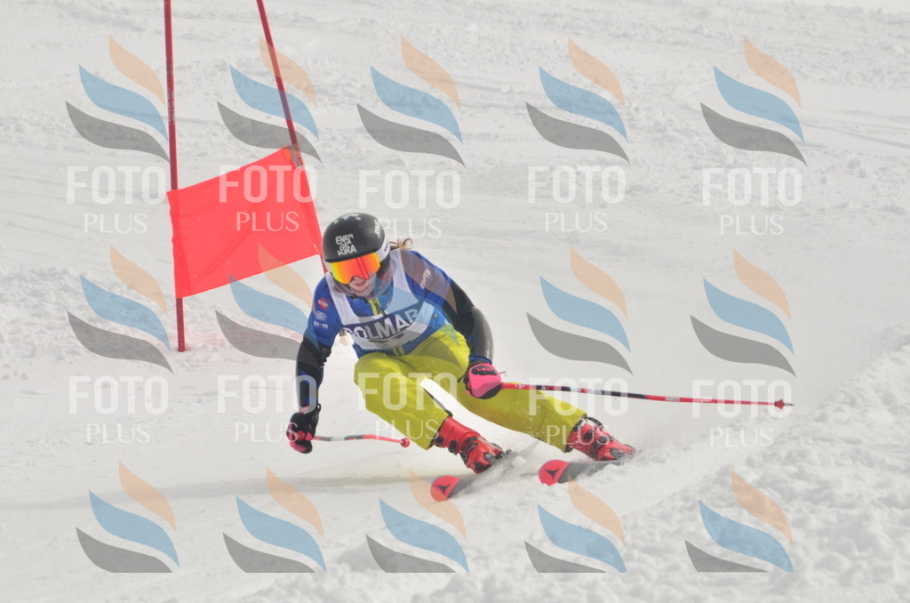 A5586 | holidayphoto