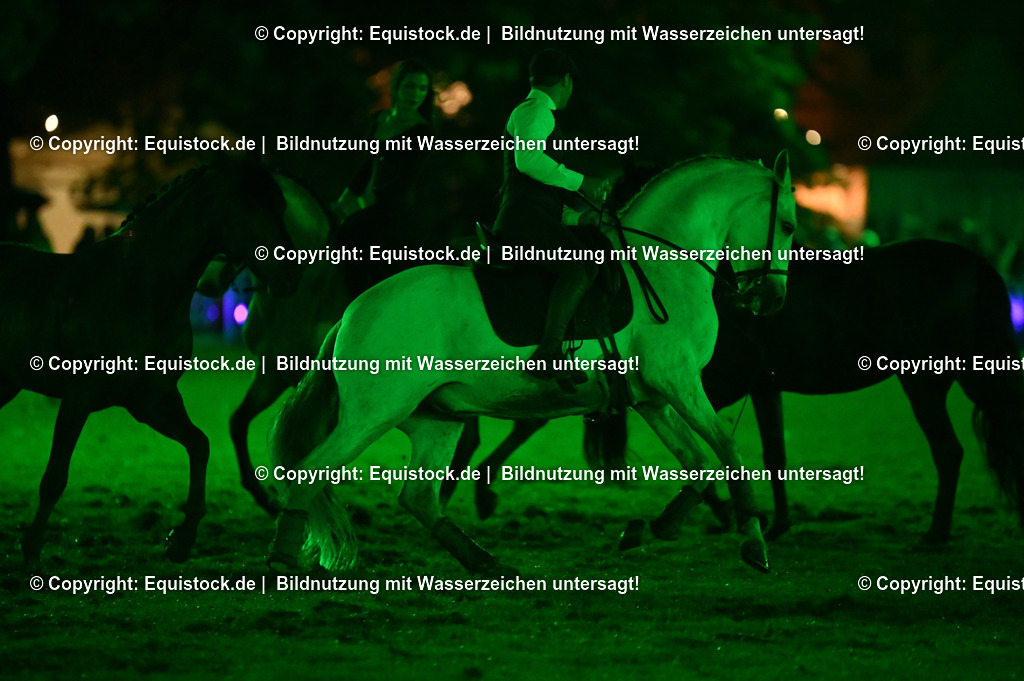 20240517_Lange-Pferdenacht_0986 | Foto: Thomas Hartig