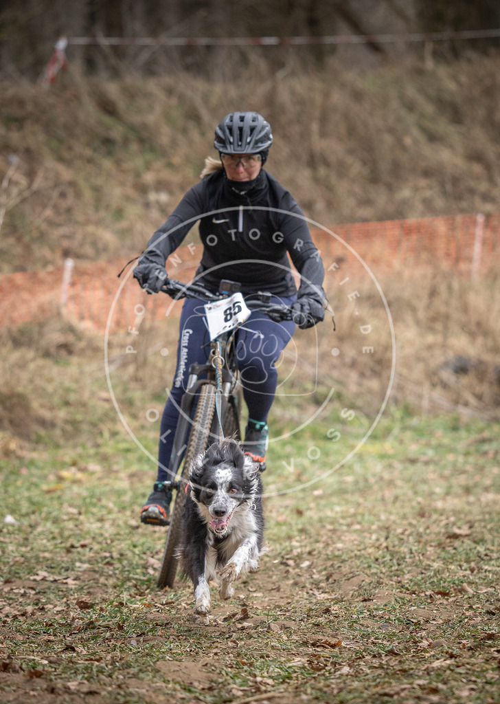 Pfotenfotografie_DV3A5817 | Hundefotografie, Tierfotograf, Pfotenfotografie, Fotoshooting Hund, Hunde Portrait, Hundesport, Hundeportraits, Heideshooting, Hunde, Sportfotograf, Hundefotograf, Turnierhundsport, THS,  - Realisiert mit Pictrs.com