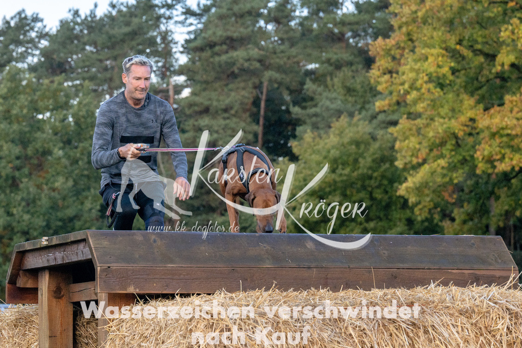 0845_ZZ91311 | kk-dogfotos
