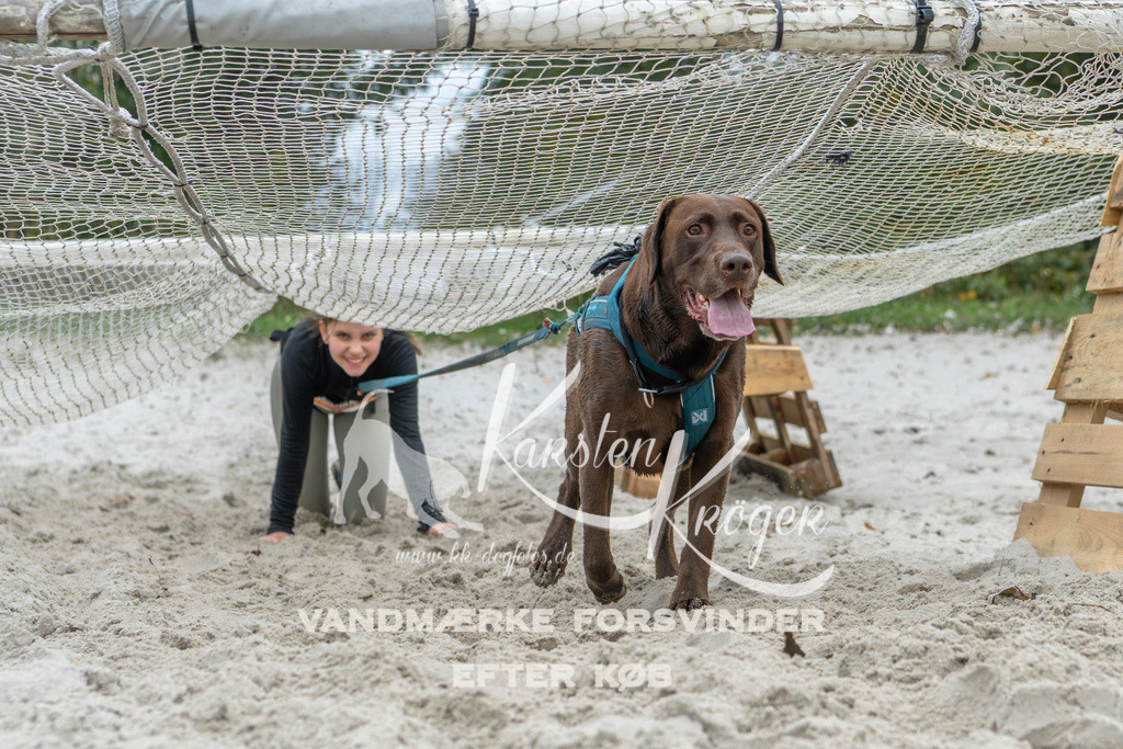 1102_ZZ95280 | kk-dogfotos