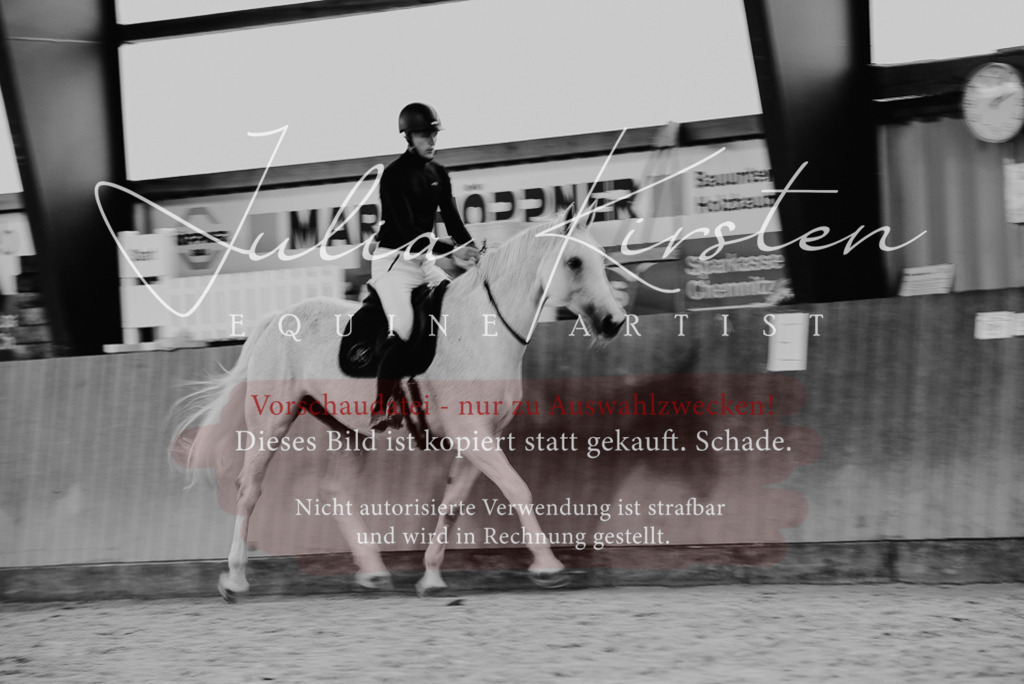 DSC_6964 | Pferde- und Turnierfotografie in Westsachsen. Pferdeportraits, Auftragszeichnungen und intuitive Kunst.