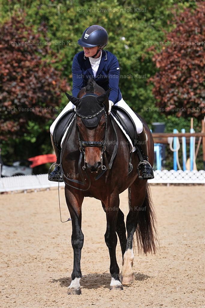 05-109-DRESSUR M_  -Marixx-4976 | working equitationturnier fotograf videograf stoibphotography marixx film working equitation deutschland reitsport turnierfotografie eventfotografie equestrian events