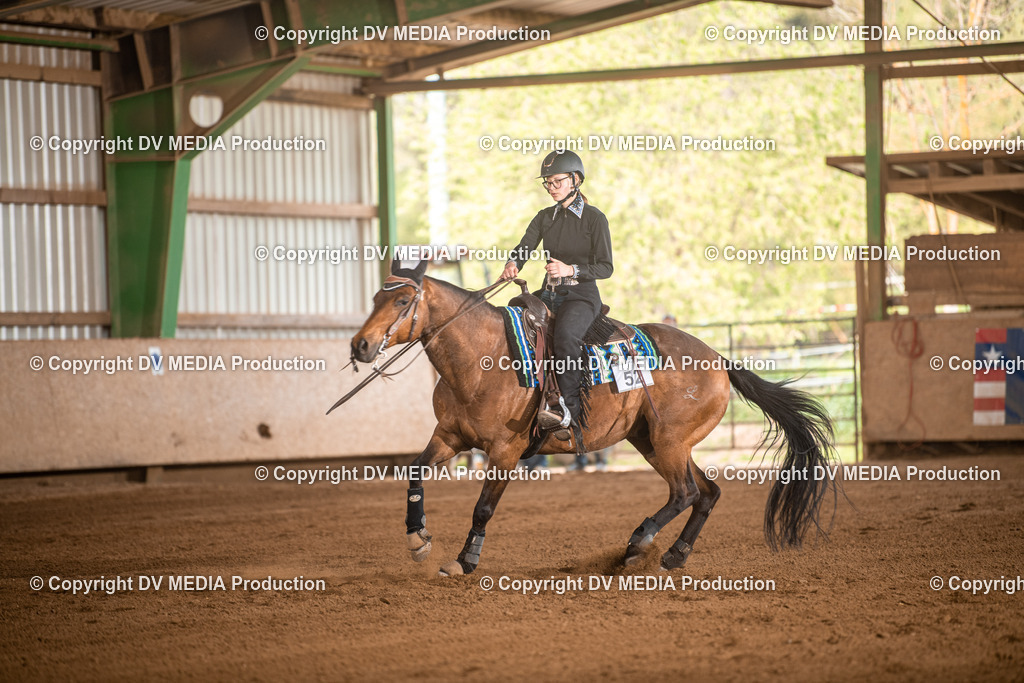 Balingen Tag 4-970 | dv-media-shop - Realisiert mit Pictrs.com