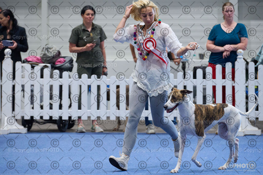 202406_ÖKV-IHA-Tulln24_DSC_5210 | proPHOTO - Realisiert mit Pictrs.com