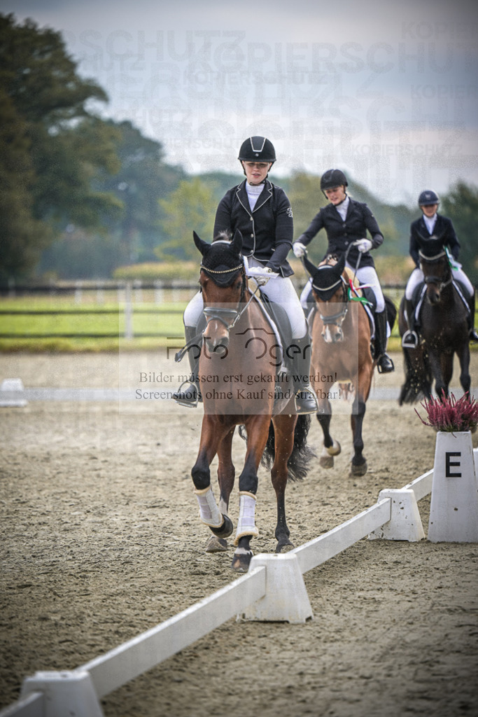 DOS_B312 | Entdecke hochwertige Reitturnierfotos von Foto Oger. Professionell, emotional und authentisch – jetzt Lieblingsmomente im Shop bestellen.Deutschlandweite Turnierfotografie. - Realisiert mit Pictrs.com