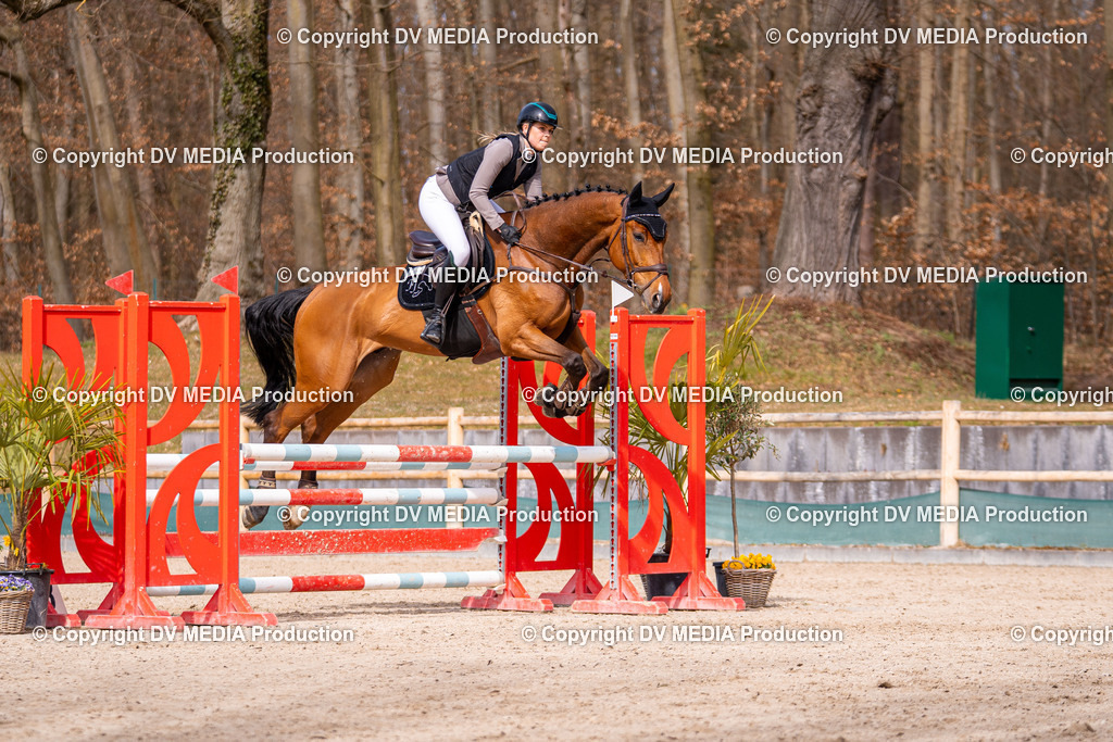 Kranichstein Tag 1-554 | dv-media-shop - Realisiert mit Pictrs.com